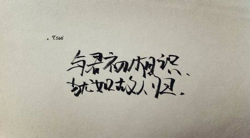 文化經(jīng)紀(jì)人服務(wù) 連接創(chuàng)意與市場(chǎng)的專業(yè)橋梁